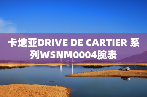 卡地亞DRIVE DE CARTIER 系列WSNM0004腕表