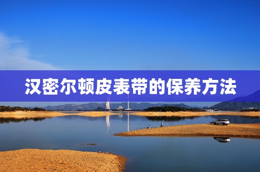 漢密爾頓皮表帶的保養(yǎng)方法