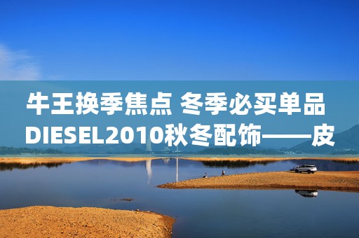 牛王換季焦點 冬季必買單品 DIESEL2010秋冬配飾——皮帶(組圖)