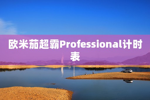 歐米茄超霸Professional計時表