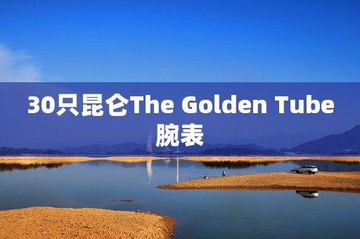 30只昆侖The Golden Tube腕表