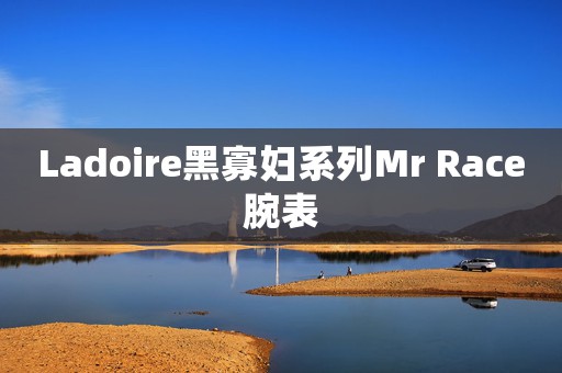 Ladoire黑寡婦系列Mr Race腕表