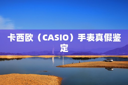 卡西歐（CASIO）手表真假鑒定