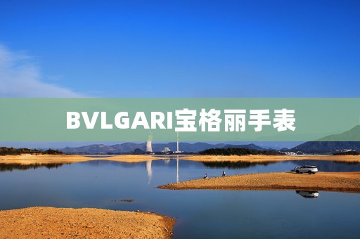 BVLGARI寶格麗手表