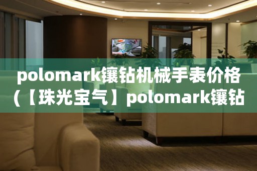 polomark鑲鉆機(jī)械手表價(jià)格(【珠光寶氣】polomark鑲鉆機(jī)械手表價(jià)格一覽)