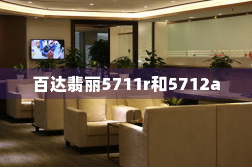 百達(dá)翡麗5711r和5712a