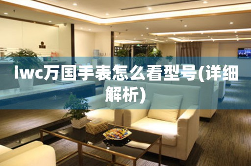 iwc萬(wàn)國(guó)手表怎么看型號(hào)(詳細(xì)解析)