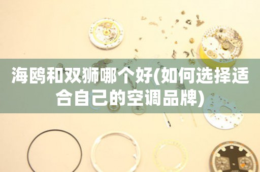 海鷗和雙獅哪個好(如何選擇適合自己的空調(diào)品牌)