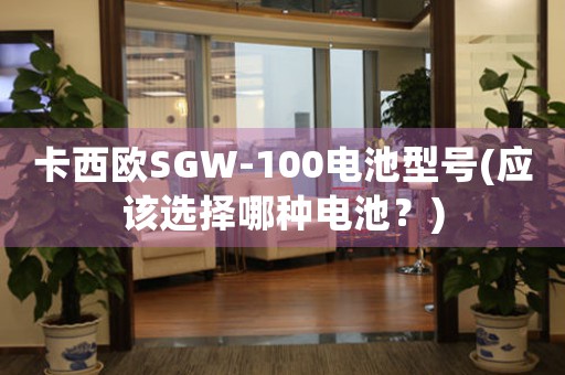 卡西歐SGW-100電池型號(hào)(應(yīng)該選擇哪種電池？)