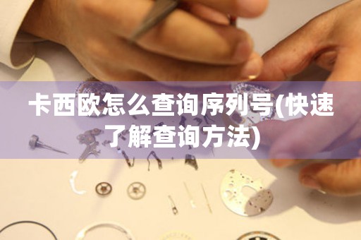 卡西歐怎么查詢序列號(快速了解查詢方法)