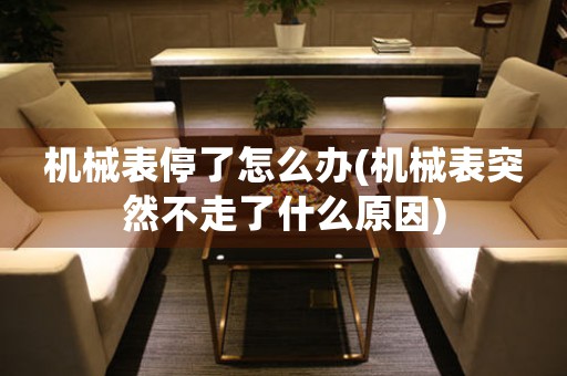 機械表停了怎么辦(機械表突然不走了什么原因)