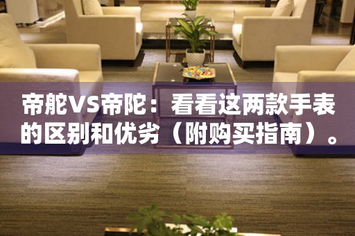 帝舵VS帝陀：看看這兩款手表的區(qū)別和優(yōu)劣（附購買指南）。
