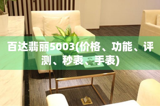 百達翡麗5003(價格、功能、評測、秒表、手表)