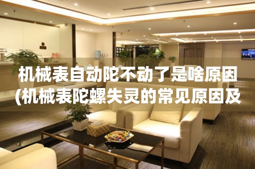 機(jī)械表自動(dòng)陀不動(dòng)了是啥原因(機(jī)械表陀螺失靈的常見原因及解決方法)