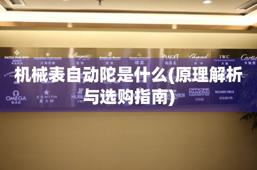機(jī)械表自動(dòng)陀是什么(原理解析與選購(gòu)指南)