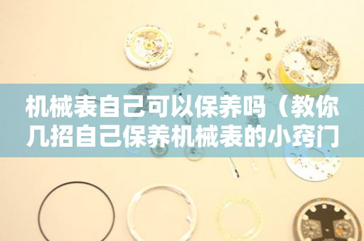 機(jī)械表自己可以保養(yǎng)嗎（教你幾招自己保養(yǎng)機(jī)械表的小竅門）