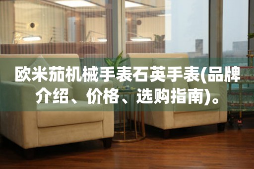 歐米茄機(jī)械手表石英手表(品牌介紹、價(jià)格、選購(gòu)指南)。