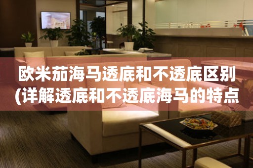 歐米茄海馬透底和不透底區(qū)別(詳解透底和不透底海馬的特點和優(yōu)缺點)