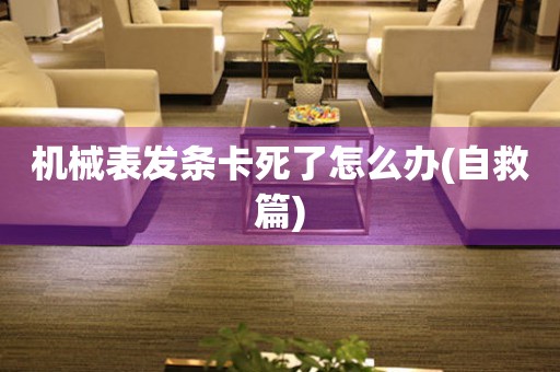 機(jī)械表發(fā)條卡死了怎么辦(自救篇)