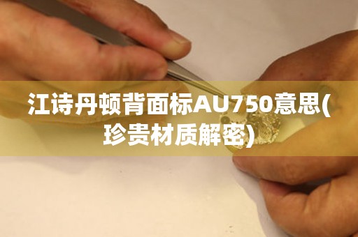 江詩丹頓背面標(biāo)AU750意思(珍貴材質(zhì)解密)