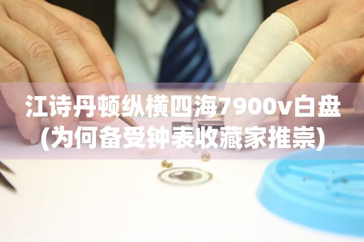 江詩(shī)丹頓縱橫四海7900v白盤(為何備受鐘表收藏家推崇)