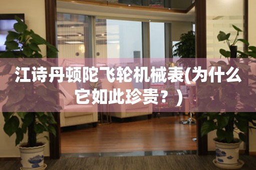 江詩丹頓陀飛輪機械表(為什么它如此珍貴？)