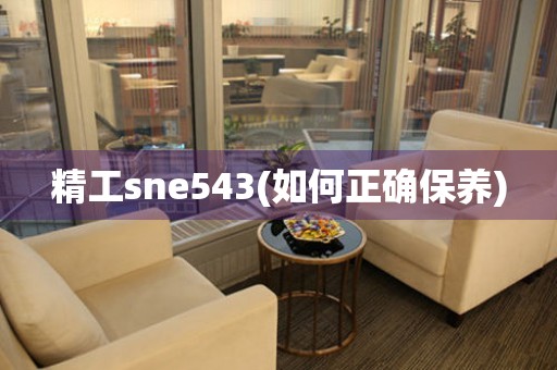 精工sne543(如何正確保養(yǎng))