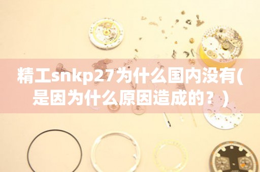 精工snkp27為什么國(guó)內(nèi)沒有(是因?yàn)槭裁丛蛟斐傻模?