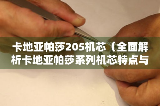 卡地亞帕莎205機(jī)芯（全面解析卡地亞帕莎系列機(jī)芯特點(diǎn)與優(yōu)勢(shì)）