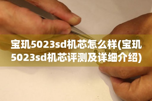 寶璣5023sd機(jī)芯怎么樣(寶璣5023sd機(jī)芯評(píng)測(cè)及詳細(xì)介紹)。