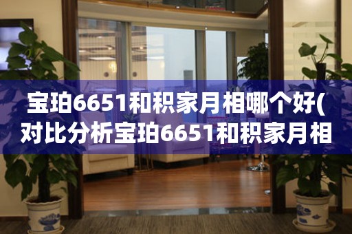 寶珀6651和積家月相哪個(gè)好(對(duì)比分析寶珀6651和積家月相的優(yōu)缺點(diǎn))。