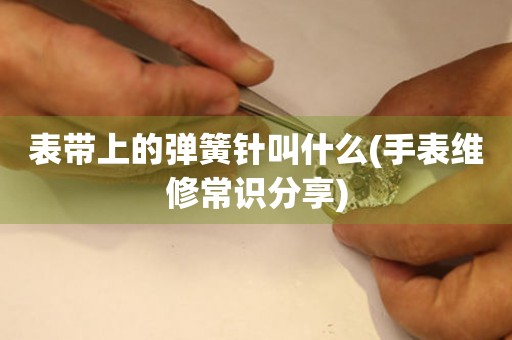 表帶上的彈簧針叫什么(手表維修常識分享)