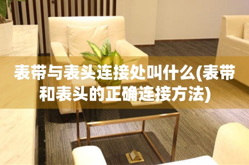 表帶與表頭連接處叫什么(表帶和表頭的正確連接方法)
