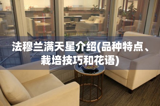 法穆蘭滿天星介紹(品種特點(diǎn)、栽培技巧和花語)