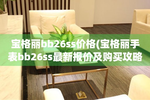 寶格麗bb26ss價(jià)格(寶格麗手表bb26ss最新報(bào)價(jià)及購買攻略)