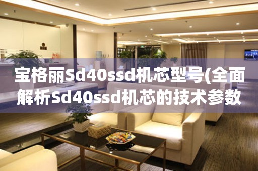 寶格麗Sd40ssd機(jī)芯型號(全面解析Sd40ssd機(jī)芯的技術(shù)參數(shù)和適用場景)
