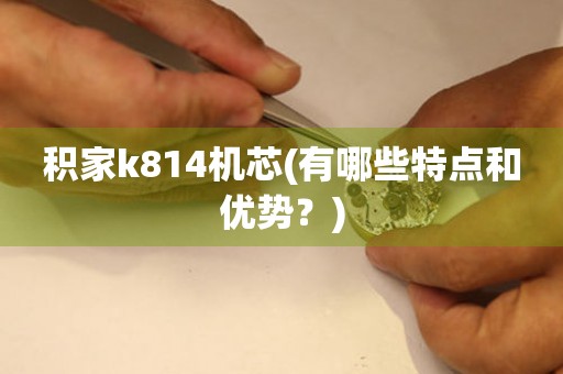 積家k814機芯(有哪些特點和優(yōu)勢？)