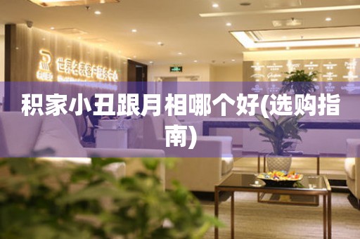 積家小丑跟月相哪個好(選購指南)
