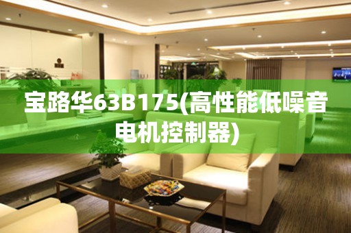 寶路華63B175(高性能低噪音電機(jī)控制器)