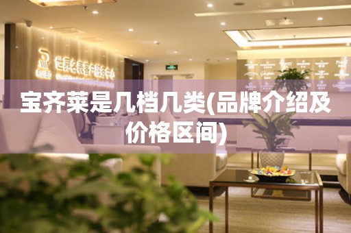 寶齊萊是幾檔幾類(品牌介紹及價格區(qū)間)