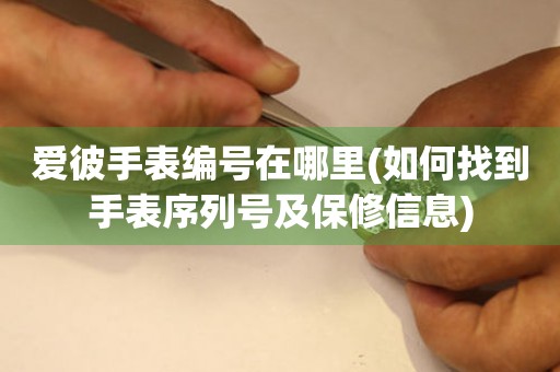 愛(ài)彼手表編號(hào)在哪里(如何找到手表序列號(hào)及保修信息)