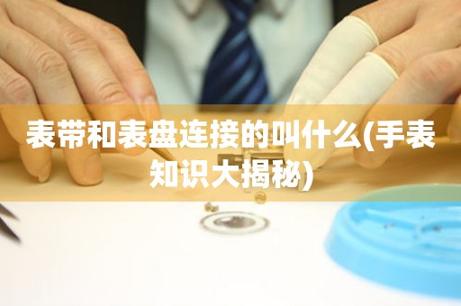 表帶和表盤連接的叫什么(手表知識(shí)大揭秘)