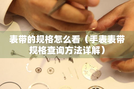 表帶的規(guī)格怎么看（手表表帶規(guī)格查詢方法詳解）
