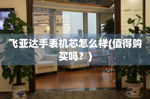 飛亞達手表機芯怎么樣(值得購買嗎？)