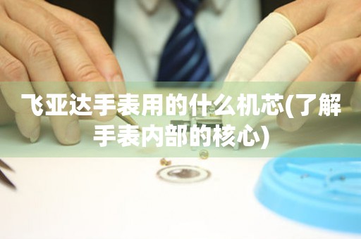 飛亞達手表用的什么機芯(了解手表內(nèi)部的核心)