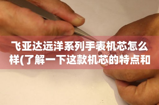 飛亞達(dá)遠(yuǎn)洋系列手表機(jī)芯怎么樣(了解一下這款機(jī)芯的特點(diǎn)和優(yōu)勢(shì))