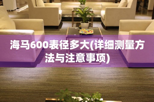 海馬600表徑多大(詳細(xì)測(cè)量方法與注意事項(xiàng))