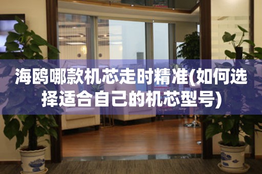 海鷗哪款機(jī)芯走時(shí)精準(zhǔn)(如何選擇適合自己的機(jī)芯型號(hào))