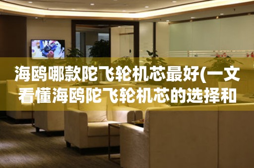 海鷗哪款陀飛輪機(jī)芯最好(一文看懂海鷗陀飛輪機(jī)芯的選擇和區(qū)別)