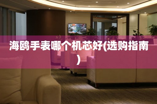 海鷗手表哪個機芯好(選購指南)